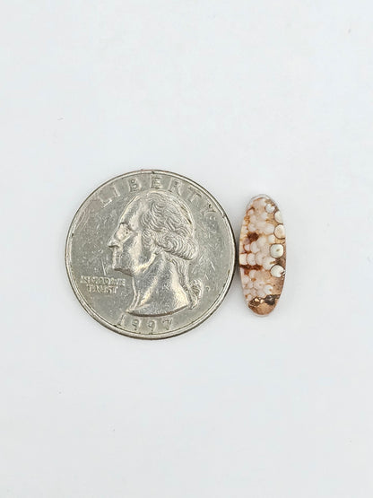 Snake skin agate cabochon