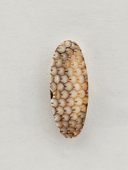 Snake skin agate cabochon