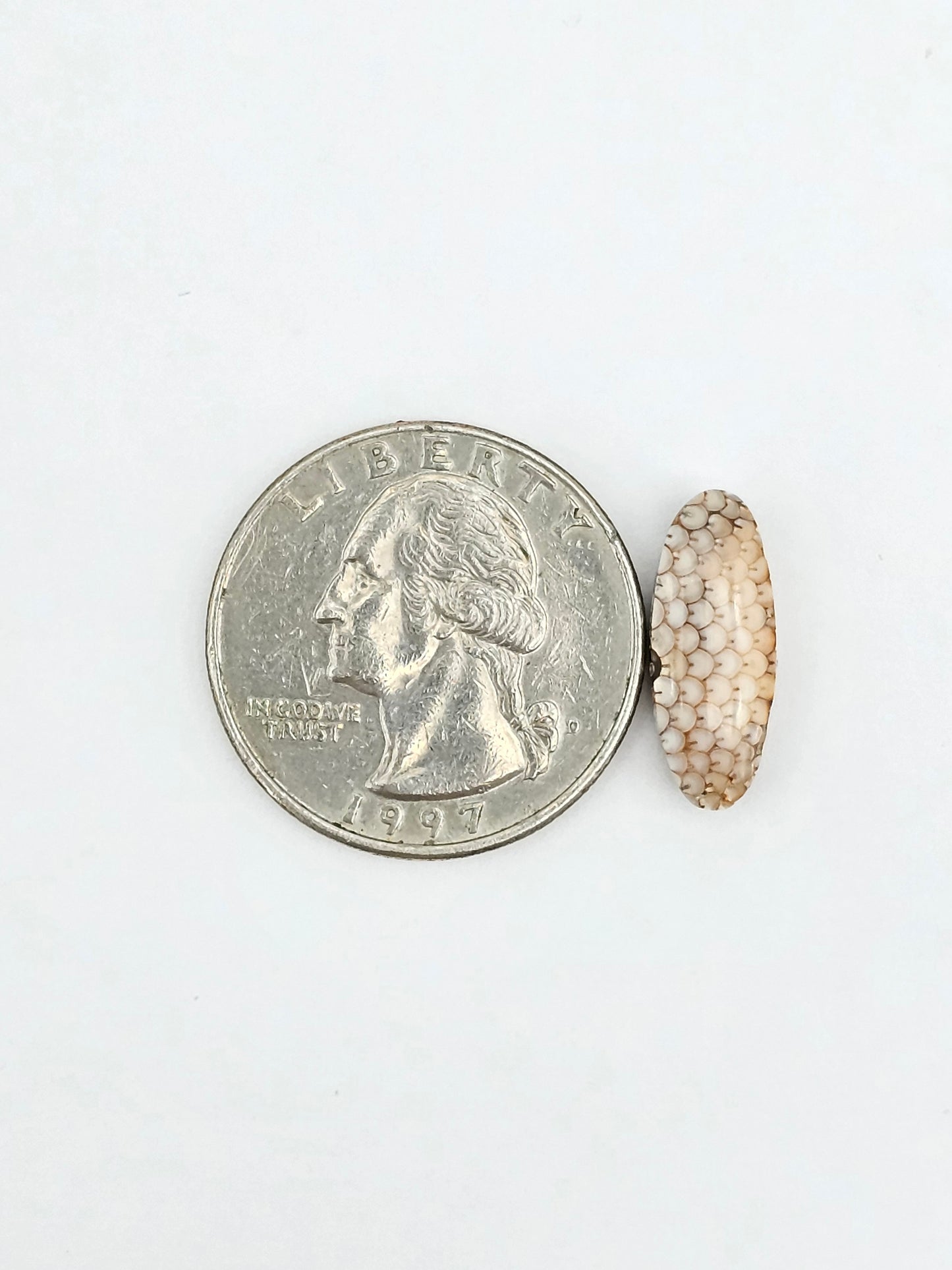 Snake skin agate cabochon