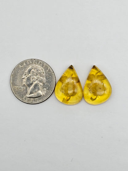 Amber authentic intaglio cabochon pair large
