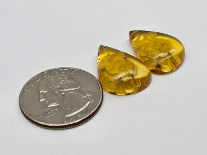 Amber authentic intaglio cabochon pair large