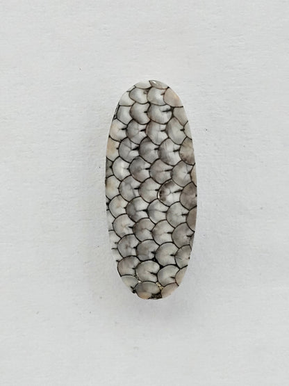 Snake agate cabochon large