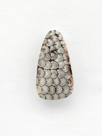 Snake skin agate cabochon