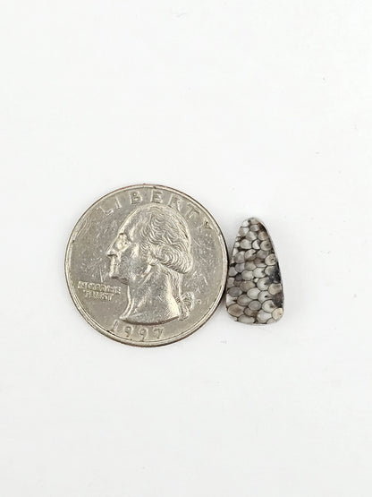 Snake skin agate cabochon