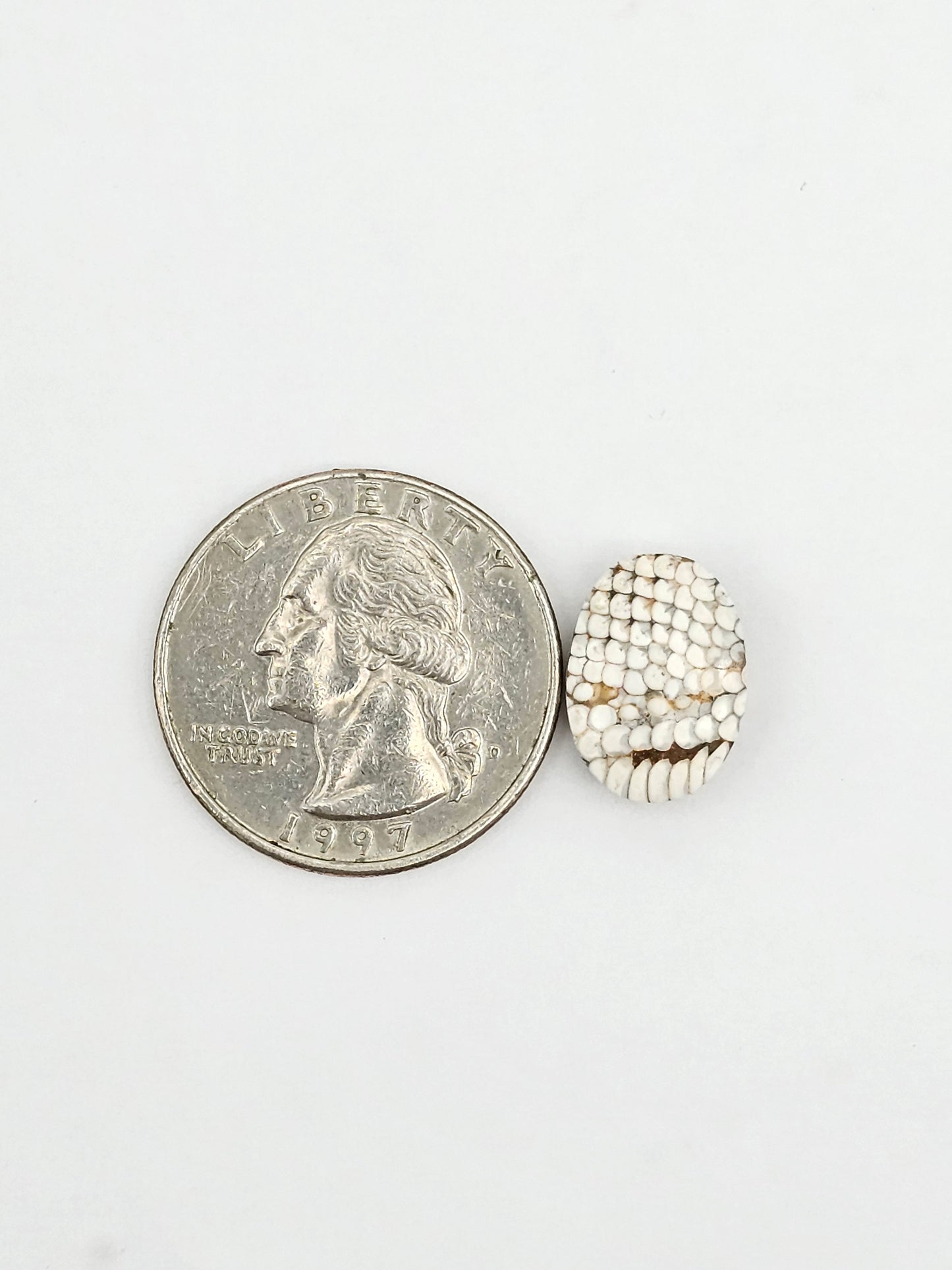 Snake skin agate cabochon