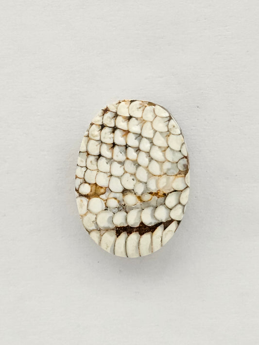 Snake skin agate cabochon