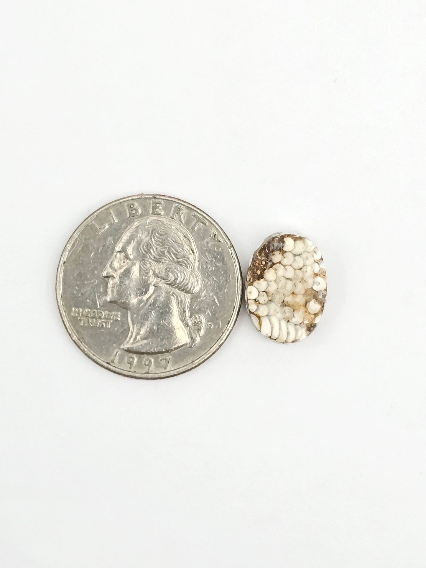 Snake skin agate cabochon