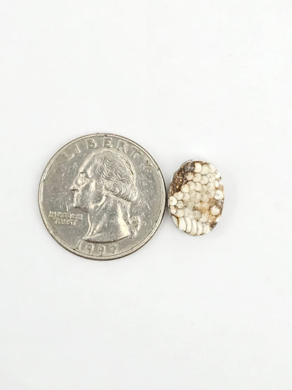 Snake skin agate cabochon