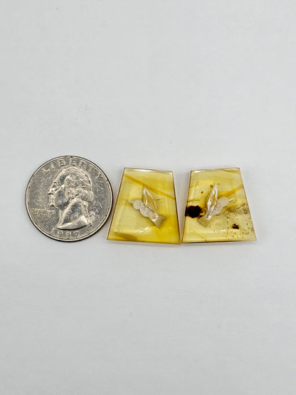Amber authentic intaglio cabochon pair large