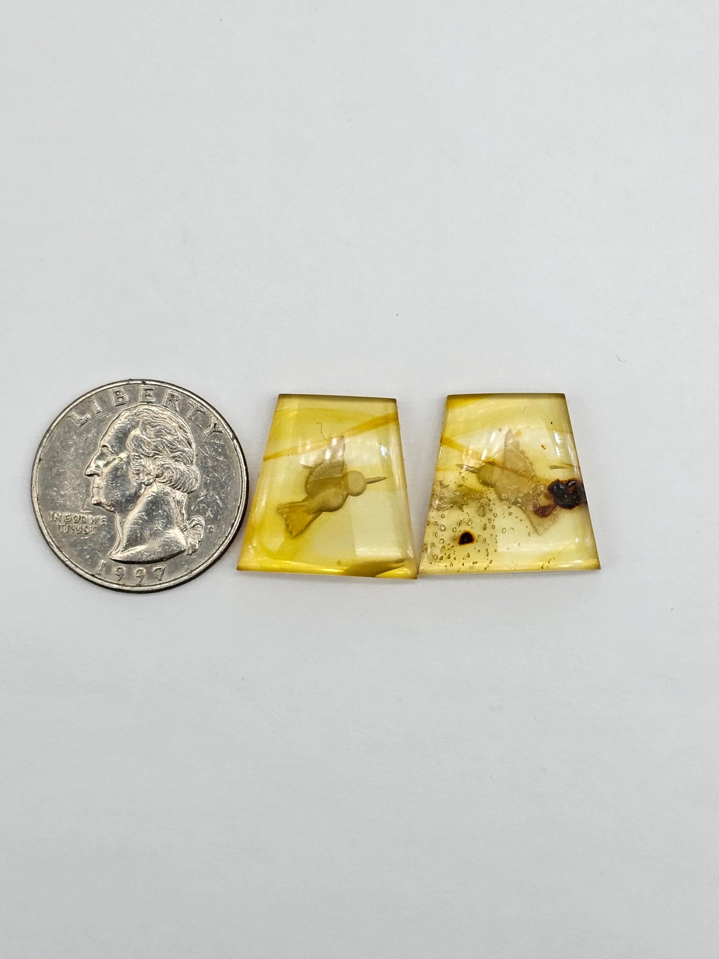 Amber authentic intaglio cabochon pair large