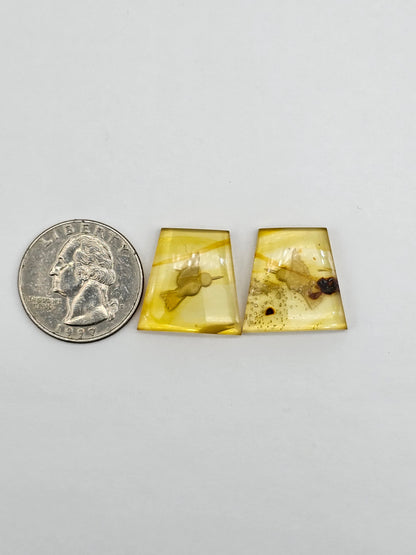 Amber authentic intaglio cabochon pair large