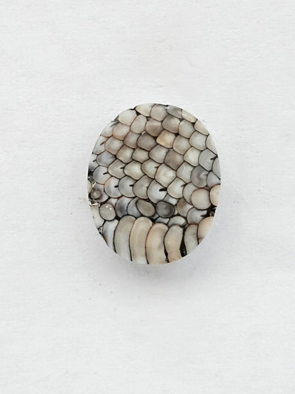Snake skin agate cabochon