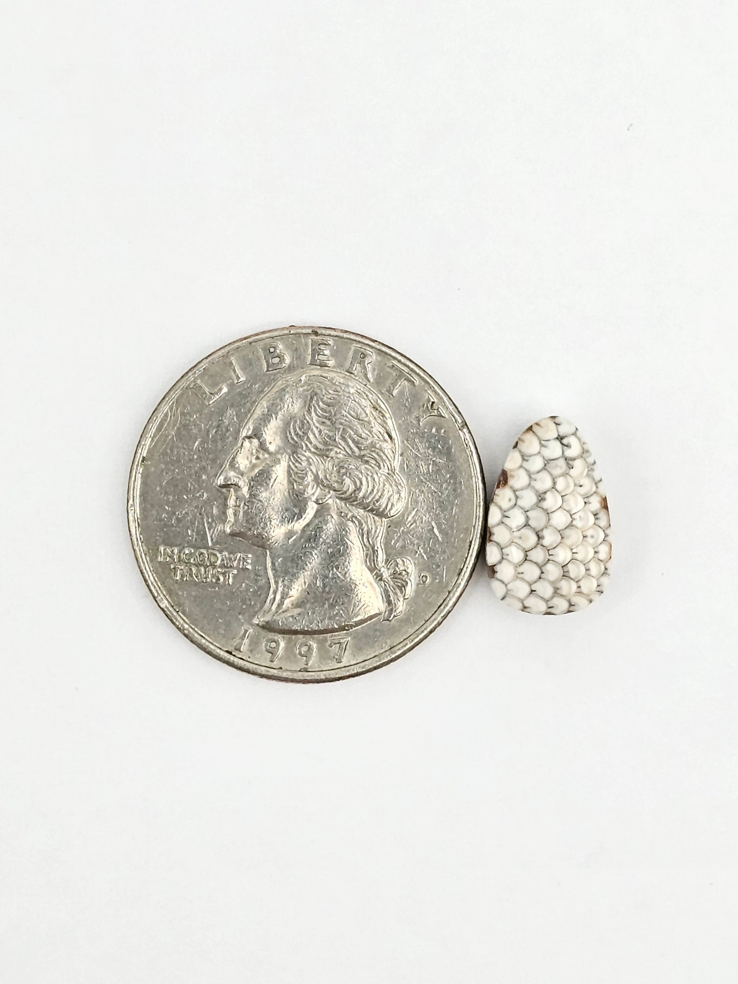 Snake skin agate cabochon
