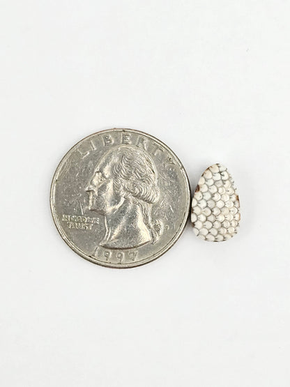 Snake skin agate cabochon