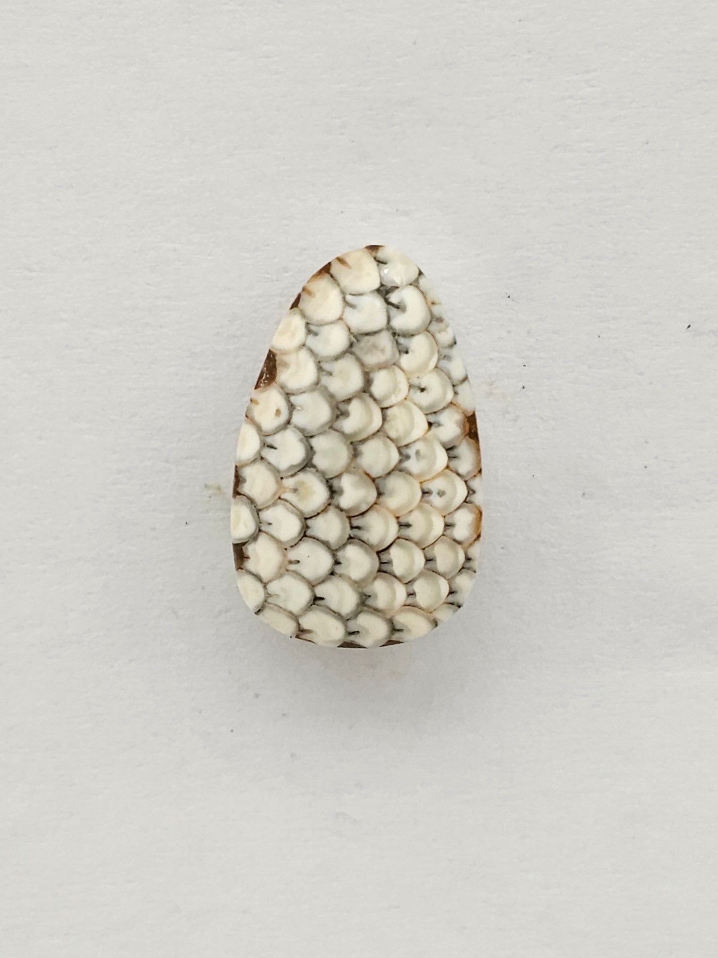 Snake skin agate cabochon