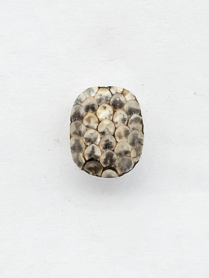 Snake skin agate cabochon