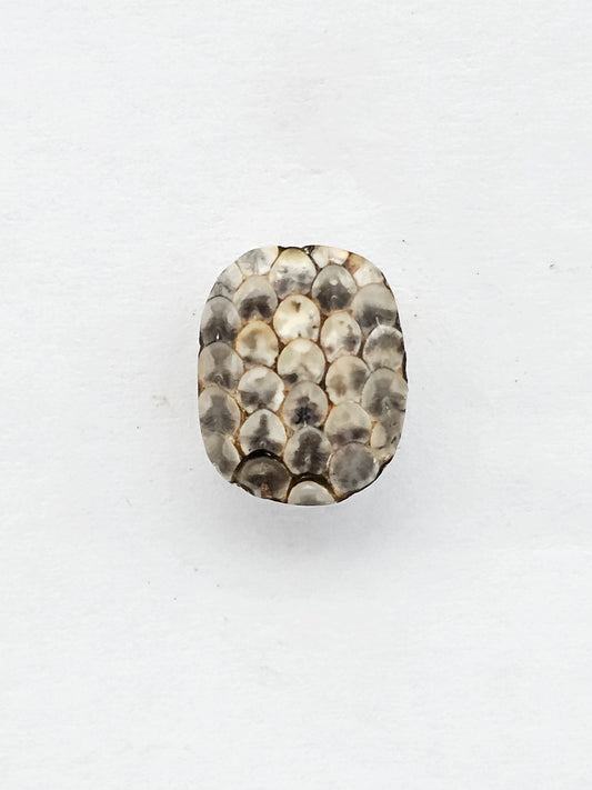 Snake skin agate cabochon