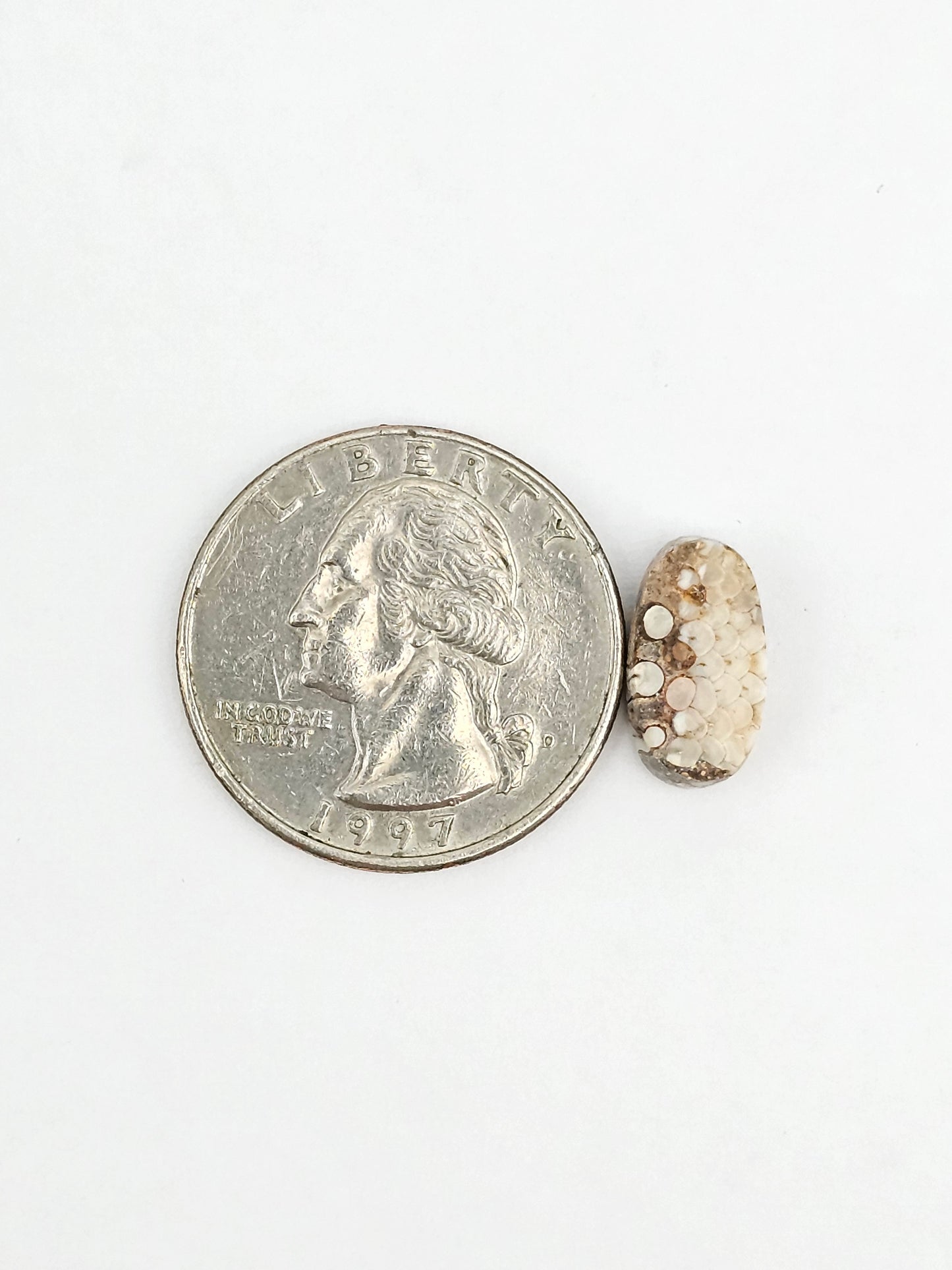 Snake skin agate cabochon