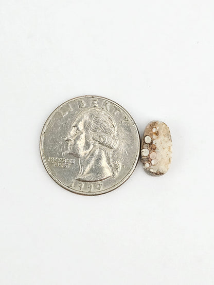 Snake skin agate cabochon