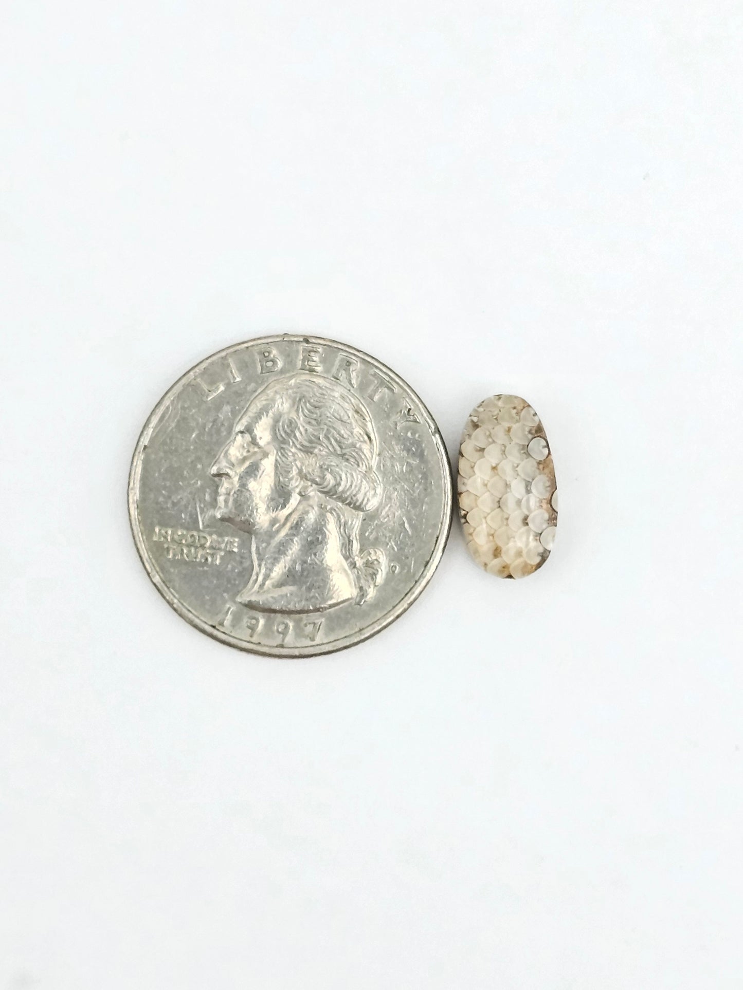 Snake skin agate cabochon