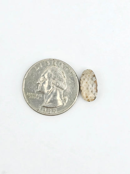 Snake skin agate cabochon