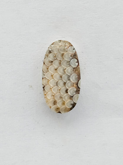 Snake skin agate cabochon