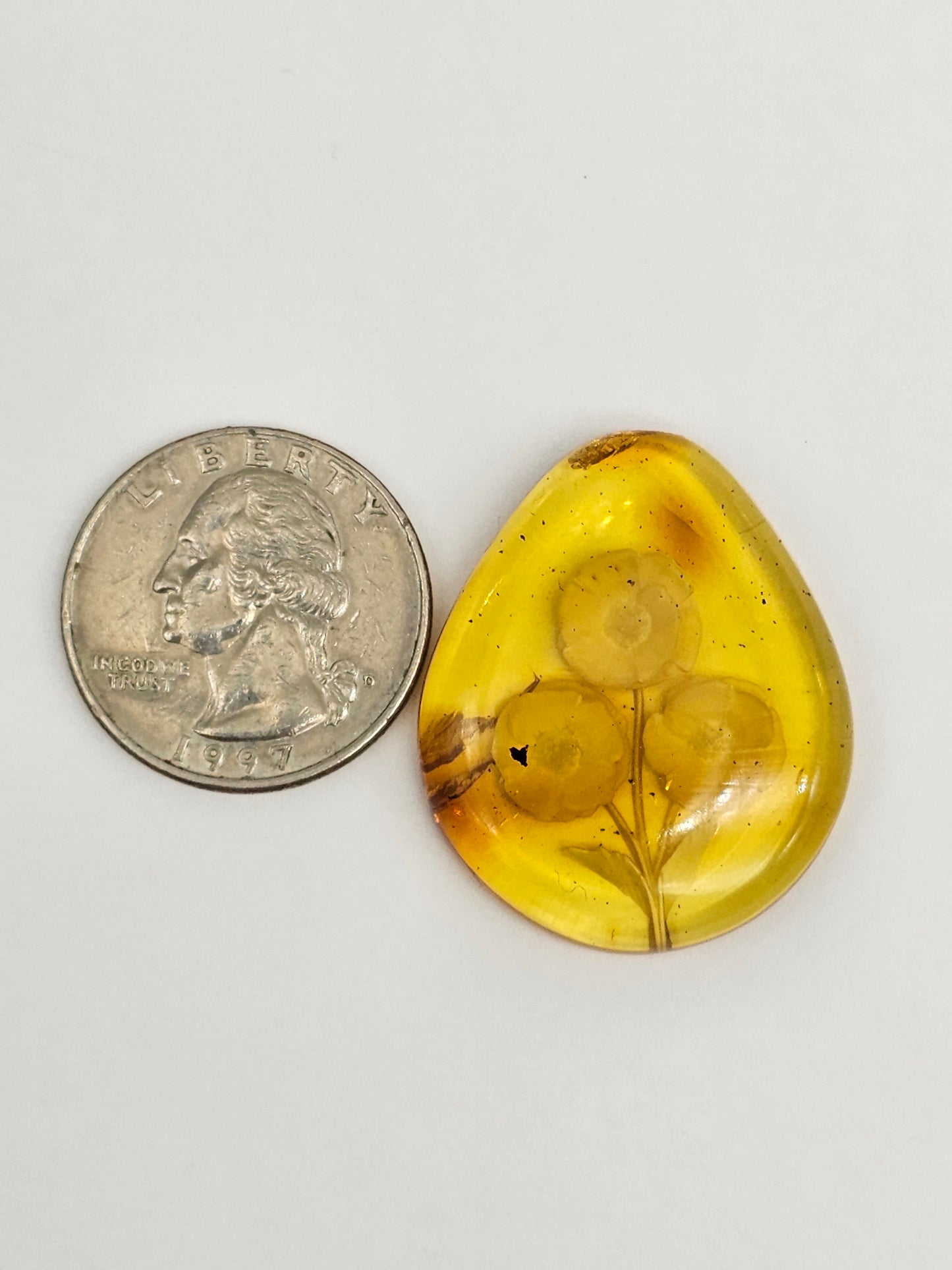 Amber authentic intaglio cabochon large