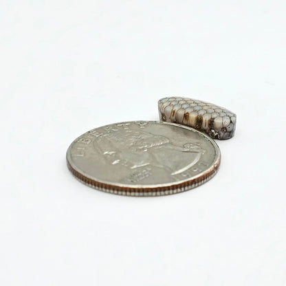 Snake skin agate cabochon