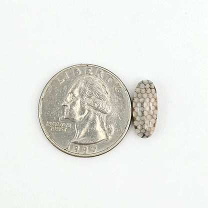 Snake skin agate cabochon