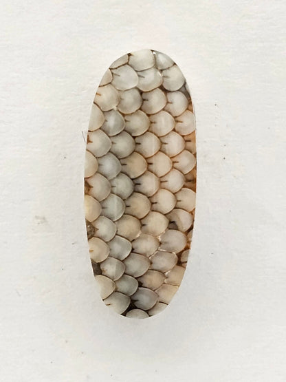 Snake skin agate cabochon