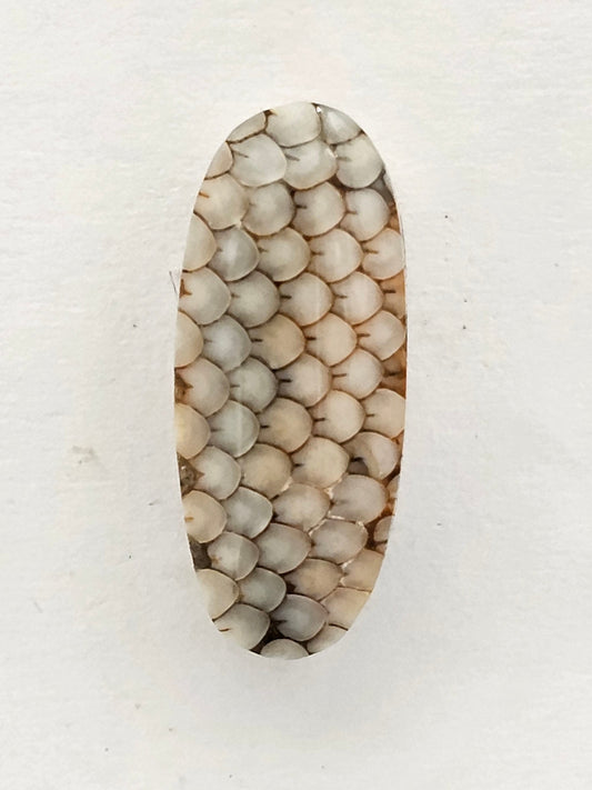 Snake skin agate cabochon