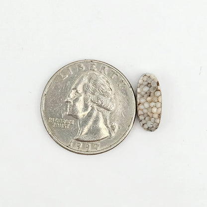 Snake skin agate cabochon