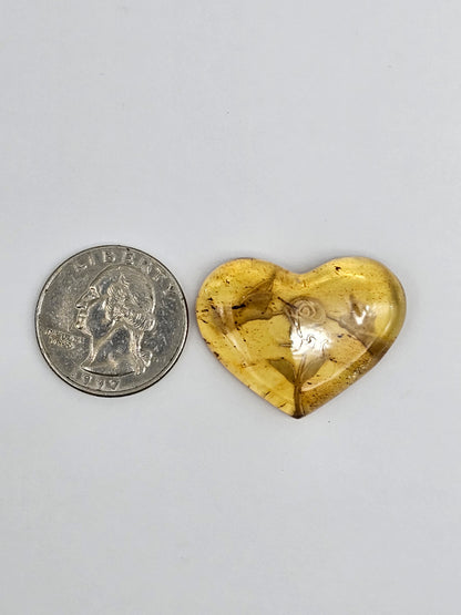 Amber authentic intaglio cabochon large