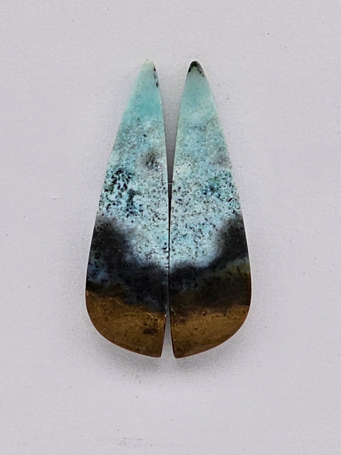 Blue opalized wood Cabochon Pair
