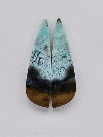 Blue opalized wood Cabochon Pair