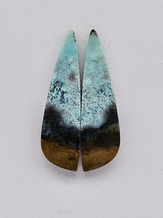 Blue opalized wood Cabochon Pair