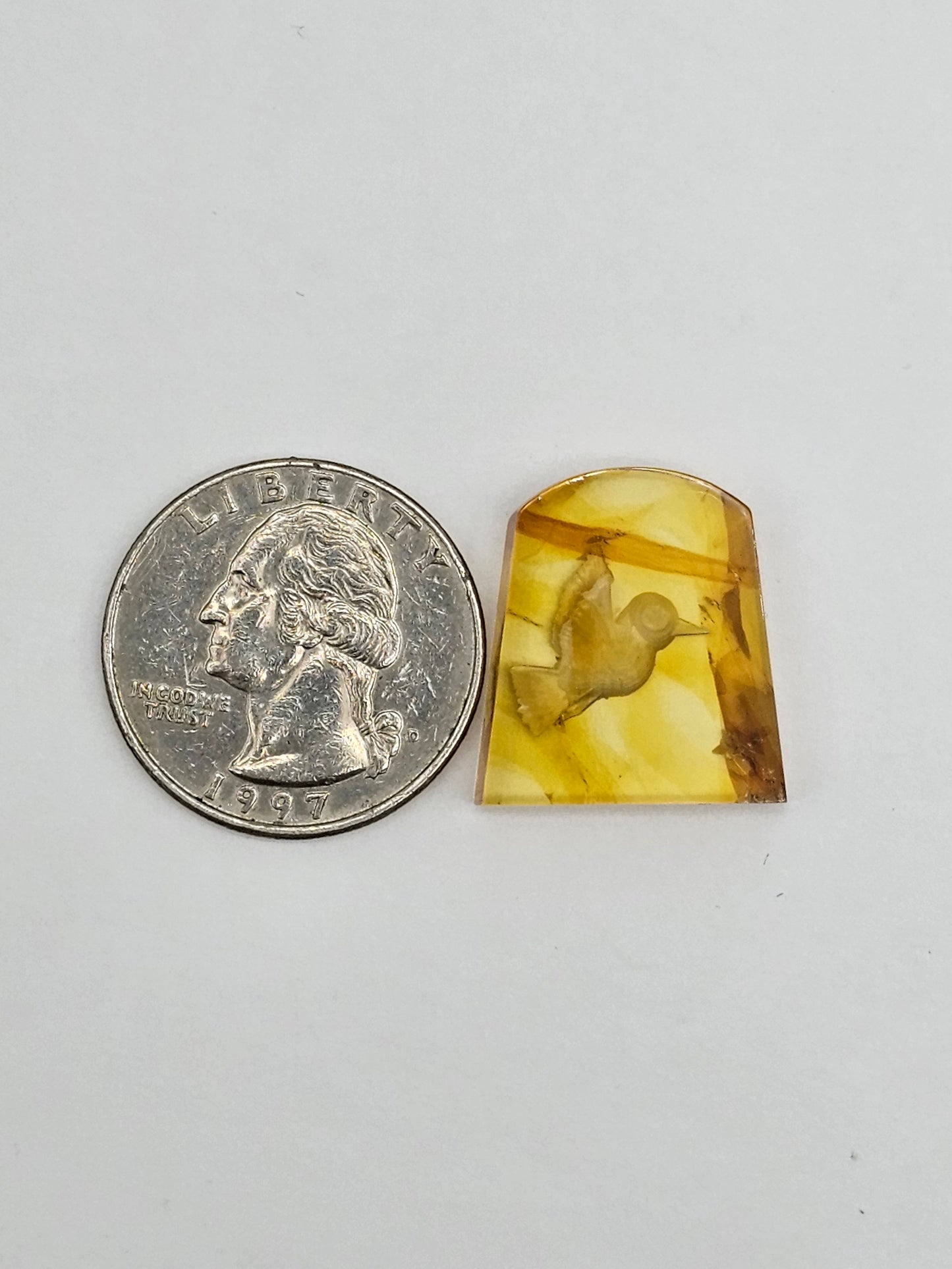 Amber authentic intaglio cabochon large