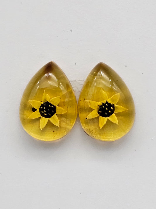 Amber authentic intaglio cabochon pair large