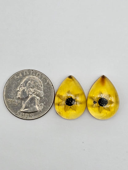 Amber authentic intaglio cabochon pair large