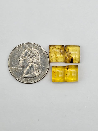 Amber authentic cabochon pair lot
