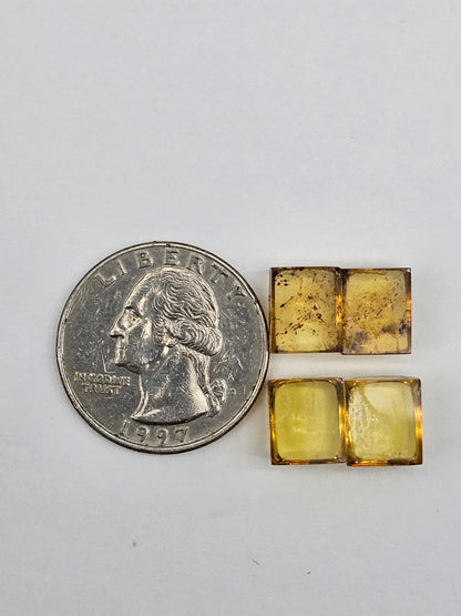 Amber authentic cabochon pair lot