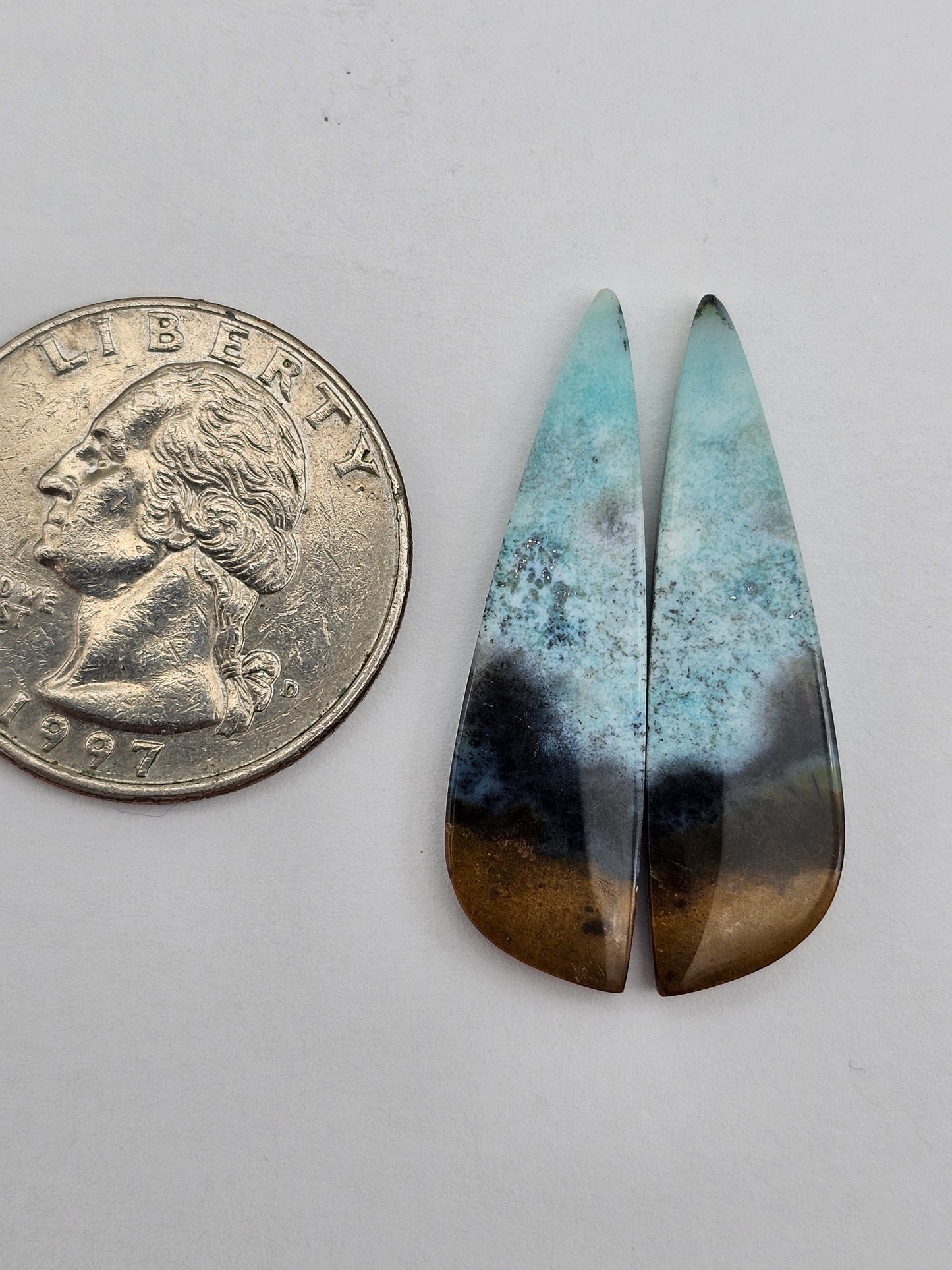 Blue opalized wood Cabochon Pair