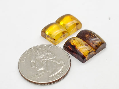 Amber authentic cabochon pair lot
