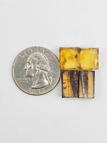Amber authentic cabochon pair lot