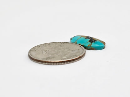 Mexican Turquoise Cabochon for Silversmiths – Hand Cut Natural Stone