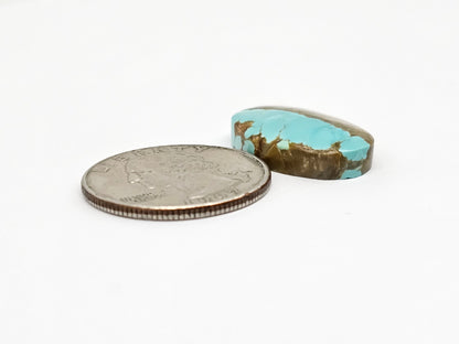 Mexican Turquoise Cabochon for Silversmiths – Hand Cut Natural Stone