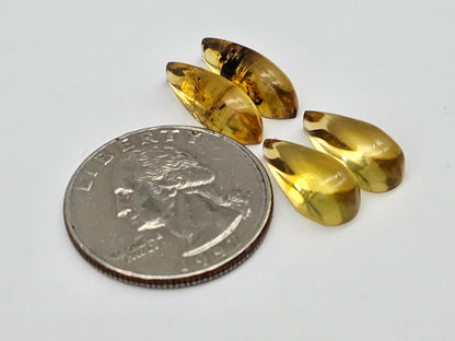 Amber authentic cabochon pair lot