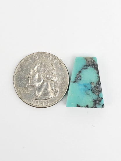 Mexican Campitos Turquoise Cabochon | Artisan Cut Gemstone