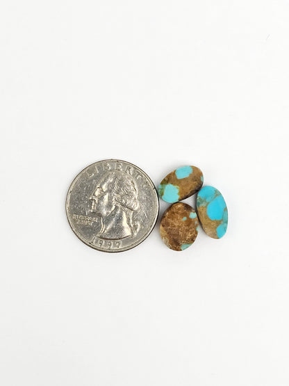 Mexican Turquoise Lot | Artisan Cut Gemstone