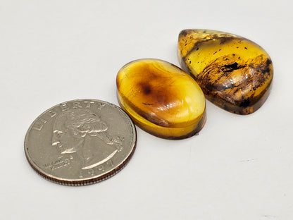 Amber authentic cabochon set large